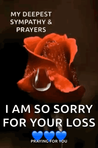 A Red Rose With A Tear Coming Out Of It And The Words I Am So Sorry For Your Loss GIF