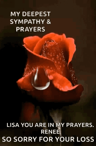 A Red Rose With A Tear Coming Out Of It Says My Deepest Sympathy And Prayers GIF