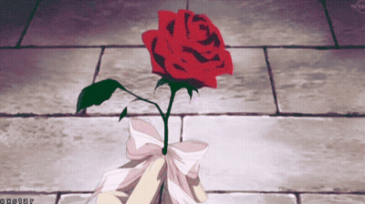 A Red Rose With A White Bow Is On A Tiled Floor With A Watermark That Says Cxstar GIF