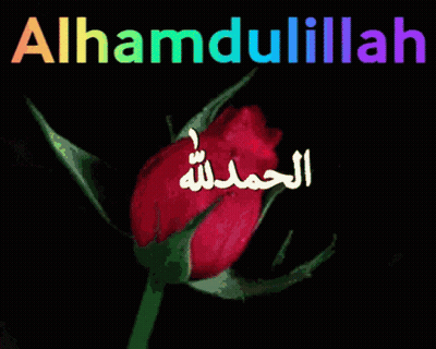 A Red Rose With Arabic Writing On It And The Words Alhamdulillah GIF