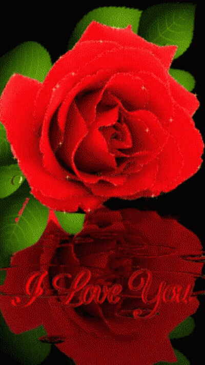 A Red Rose With Green Leaves And The Words I Love You On The Bottom GIF