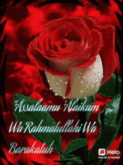 A Red Rose With The Words Assalamu Alaikum Wa Rahmatullahi Wa Barakatuh GIF
