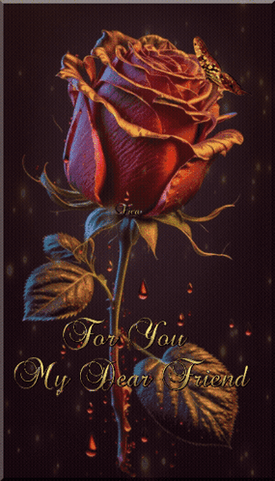 A Red Rose With The Words For You My Dear Friend On It GIF