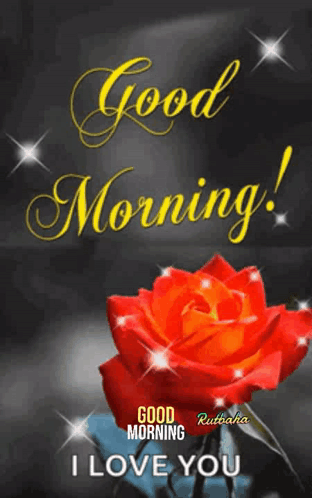 A Red Rose With The Words " Good Morning I Love You " On It GIF