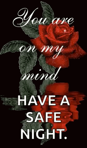 A Red Rose With The Words `` You Are On My Mind Have A Safe Night '' On It . GIF