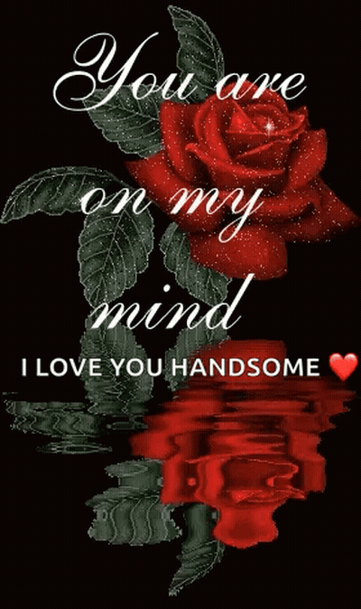 A Red Rose With The Words " You Are On My Mind I Love You Handsome " On It GIF