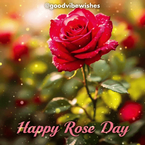 A Red Rose With Water Drops On It And The Words Happy Rose Day On The Bottom GIF