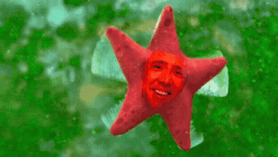 A Red Starfish With A Man 'S Face On It Is Floating In The Water . GIF