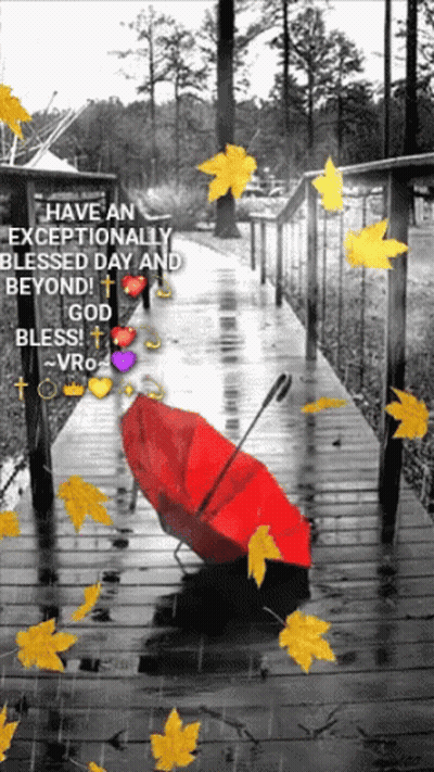 A Red Umbrella Sits On A Wooden Walkway In The Rain With Leaves Falling Around It GIF