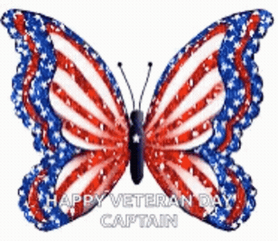 A Red , White And Blue Butterfly With The Words `` Happy Veteran Day Captain '' Written On It GIF