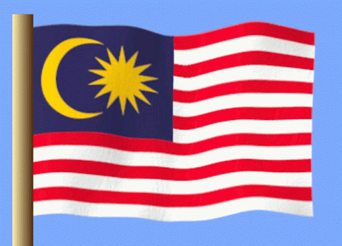 A Red White And Blue Flag With A Crescent Moon And Star On It GIF