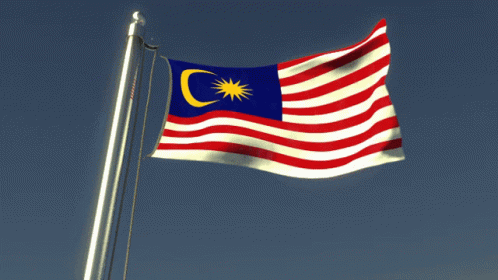 A Red White And Blue Flag With A Crescent Moon And Star On It GIF