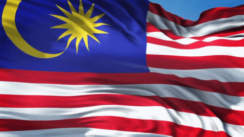 A Red White And Blue Flag With A Yellow Star And Crescent Moon GIF