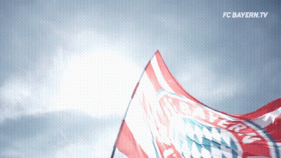 A Red White And Blue Flag With Bayern On It GIF