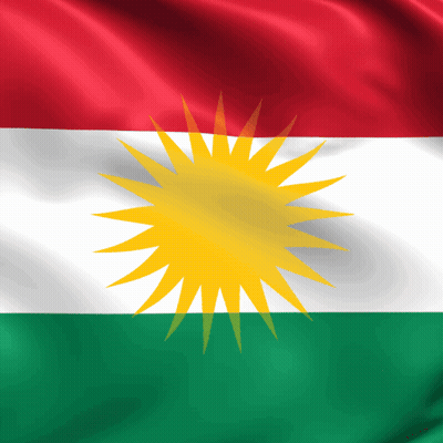 A Red White And Green Flag With A Yellow Star GIF