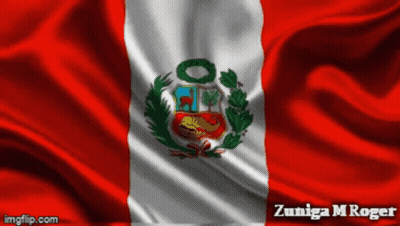 A Red White And Green Flag With The Name Zuniga M Roger On It GIF