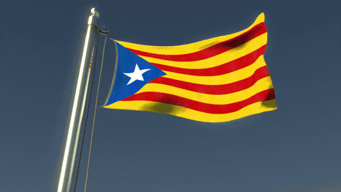 A Red Yellow And Blue Flag With A Blue Star In The Center GIF