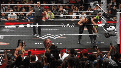 A Referee Stands In The Middle Of A Wrestling Ring With A Sign That Says Nelix On It GIF