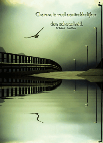 A Reflection Of A Bridge In The Water With The Words Charme Is Veel Aantrekkelijker Dan Schoonheid Above It GIF