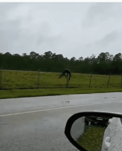 A Reflection Of A Car In A Rear View Mirror Of A Grassy Field GIF