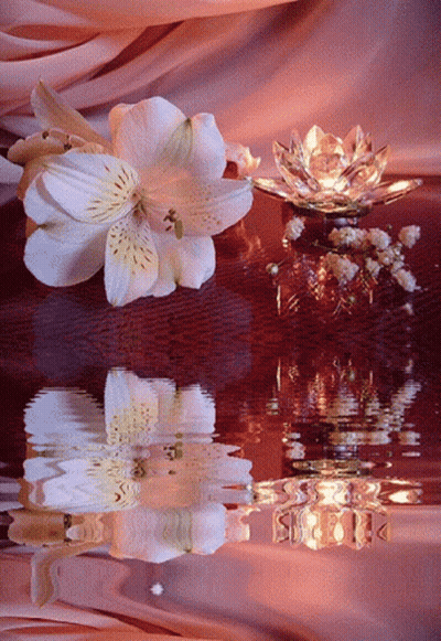A Reflection Of A Flower In The Water With A Candle GIF