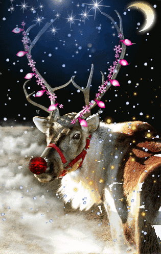 A Reindeer With A Red Nose And Pink Lights On Its Antlers Stands In The Snow GIF