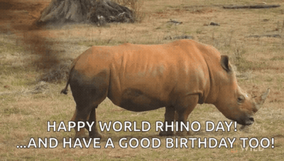 A Rhino Is Standing In A Grassy Field With The Words Happy World Rhino Day And Have A Good Birthday Too GIF