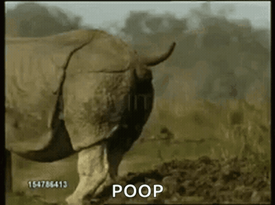 A Rhino Is Standing In The Dirt With The Word Poop Written On The Bottom GIF