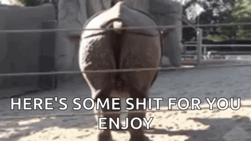 A Rhinoceros Is Standing In The Dirt In A Zoo Enclosure . GIF