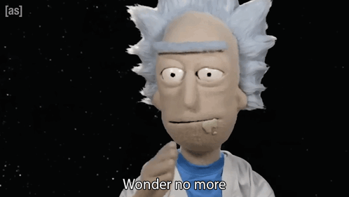 A Rick And Morty Puppet Says " Wonder No More " GIF