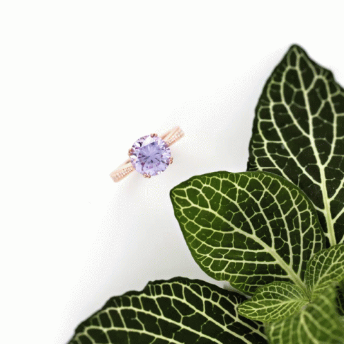 A Ring With A Purple Stone Is On A Green Leaf GIF