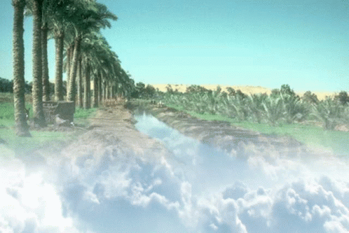 A River Runs Through A Lush Green Field With Palm Trees In The Background GIF