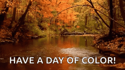 A River Surrounded By Trees With The Words Have A Day Of Color GIF