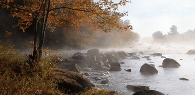 A River With Rocks And Trees On The Shore GIF