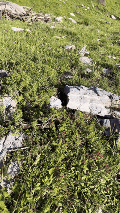 A Rock In The Middle Of A Grassy Field With A Hole In It GIF