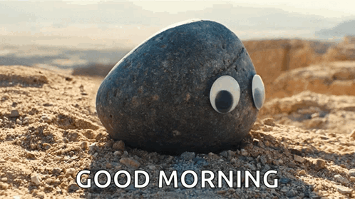 Rock With Googly Eyes Sitting In Dirt Saying Good Morning GIF