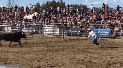 A Rodeo Arena With A Blue Sign That Says Casino Cablevox GIF