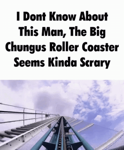 A Roller Coaster With A Caption That Says I Dont Know About This Man , The Big GIF