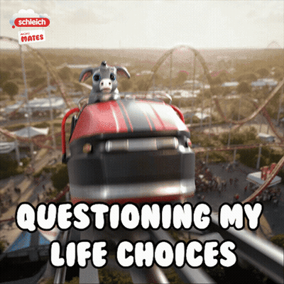 A Roller Coaster With The Words Questioning My Life Choices On It GIF