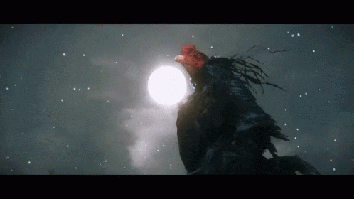 A Rooster Is Looking Up At The Moon In The Night Sky GIF