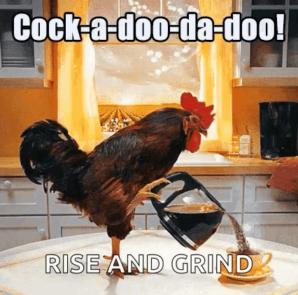 A Rooster Is Pouring Coffee From A Coffee Pot On A Table . GIF