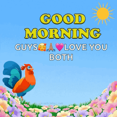 A Rooster Is Standing In A Field Of Flowers And Says Good Morning Guys I Love You Both GIF