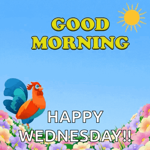 A Rooster Is Standing In A Field Of Flowers With The Words Good Morning Happy Wednesday GIF