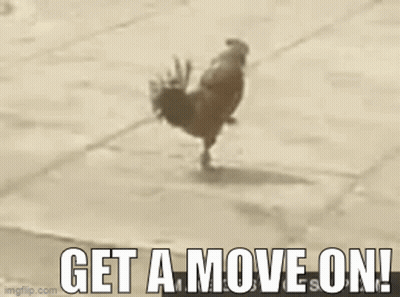 A Rooster Is Standing On One Leg On A Sidewalk With The Words `` Get A Move On '' . GIF