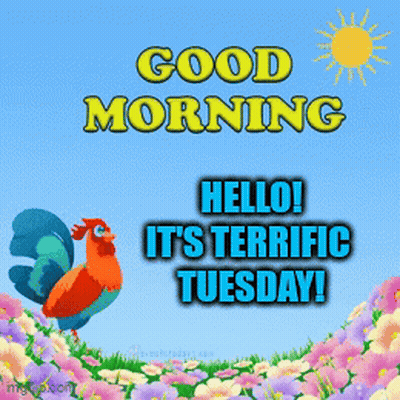 A Rooster Standing In A Field Of Flowers With The Words " Good Morning Hello It 'S Terrific Tuesday " GIF