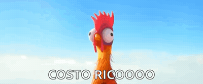 A Rooster With A Red Crest Is Standing In Front Of A Blue Sky With The Words Costo Ricooo On The Bottom . GIF