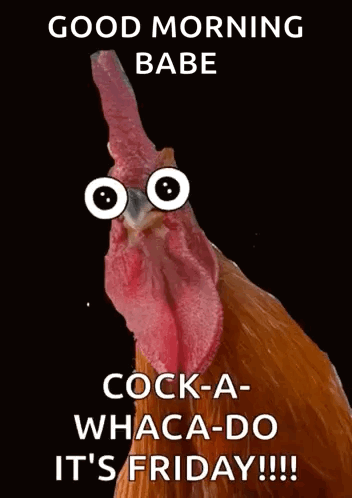A Rooster With Googly Eyes And The Words Good Morning Babe Cock-A Whaca-Do It 'S Friday GIF