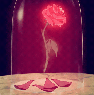 A Rose In A Glass Dome With Petals On The Floor GIF