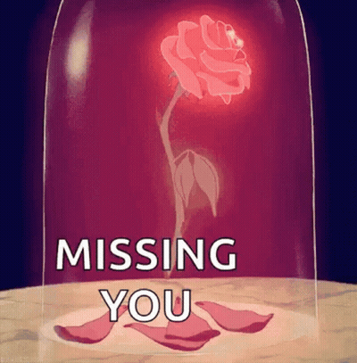 A Rose In A Glass Dome With The Words `` Missing You '' Below It . GIF
