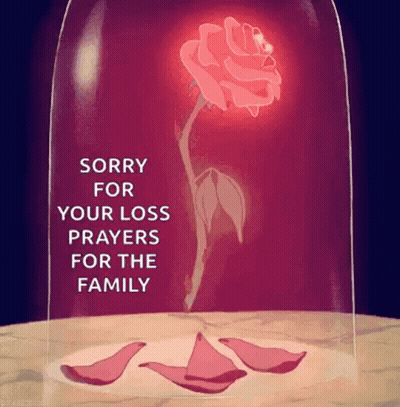 A Rose In A Glass Dome With The Words `` Sorry For Your Loss Prayers For The Family '' On It . GIF